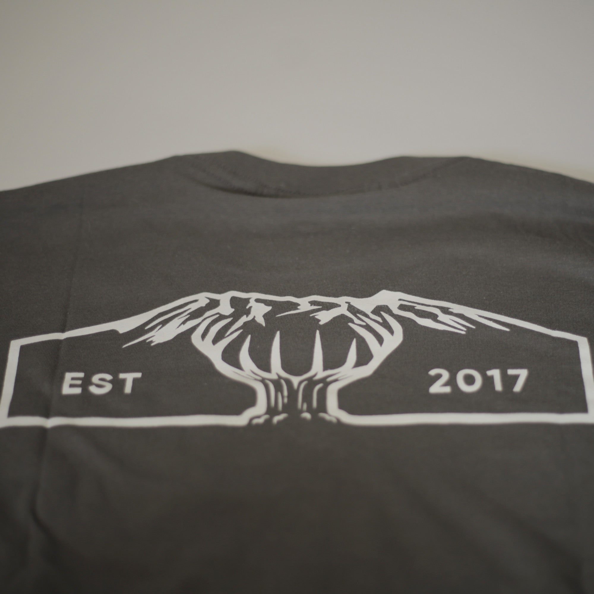 Steezy Kiwi Charcoal Tee