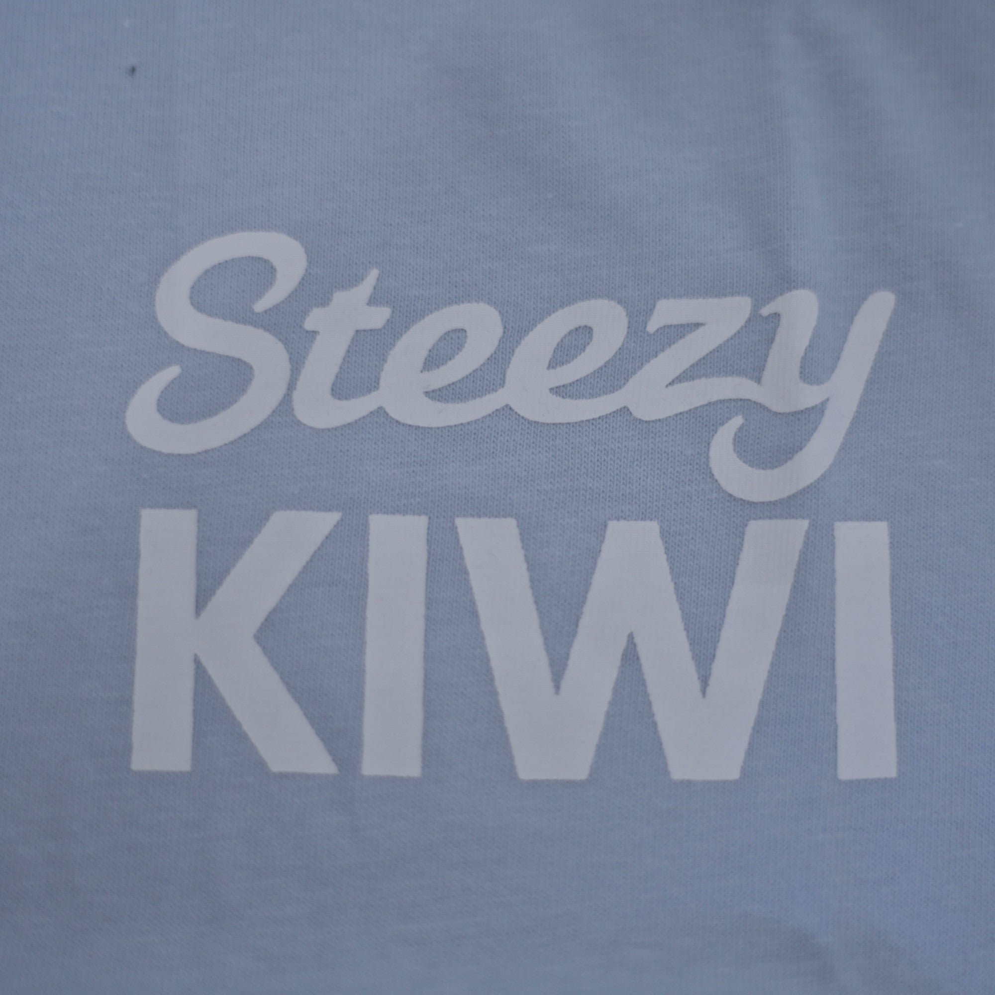 Steezy Kiwi Light Blue Tee