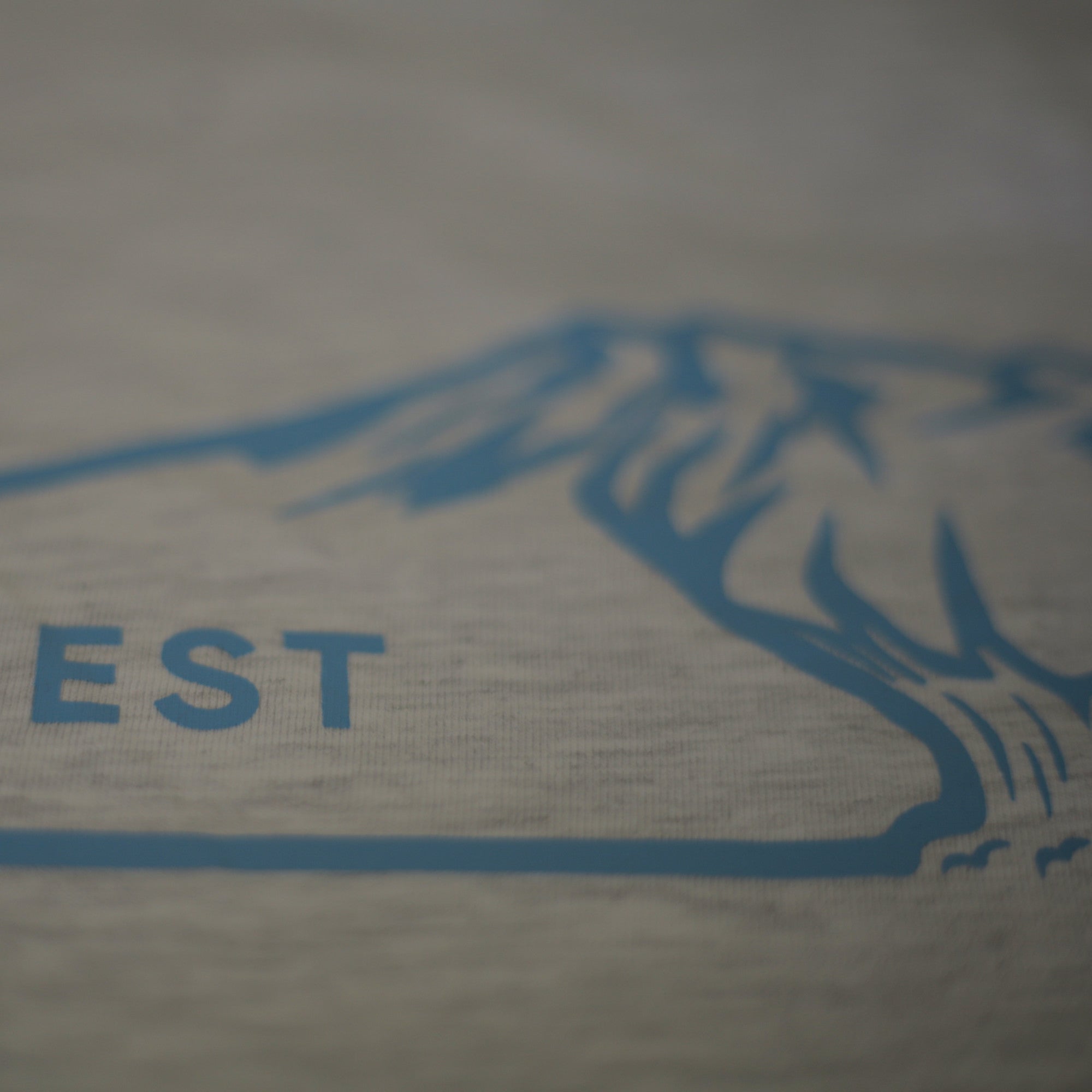 Steezy Kiwi light grey Tee