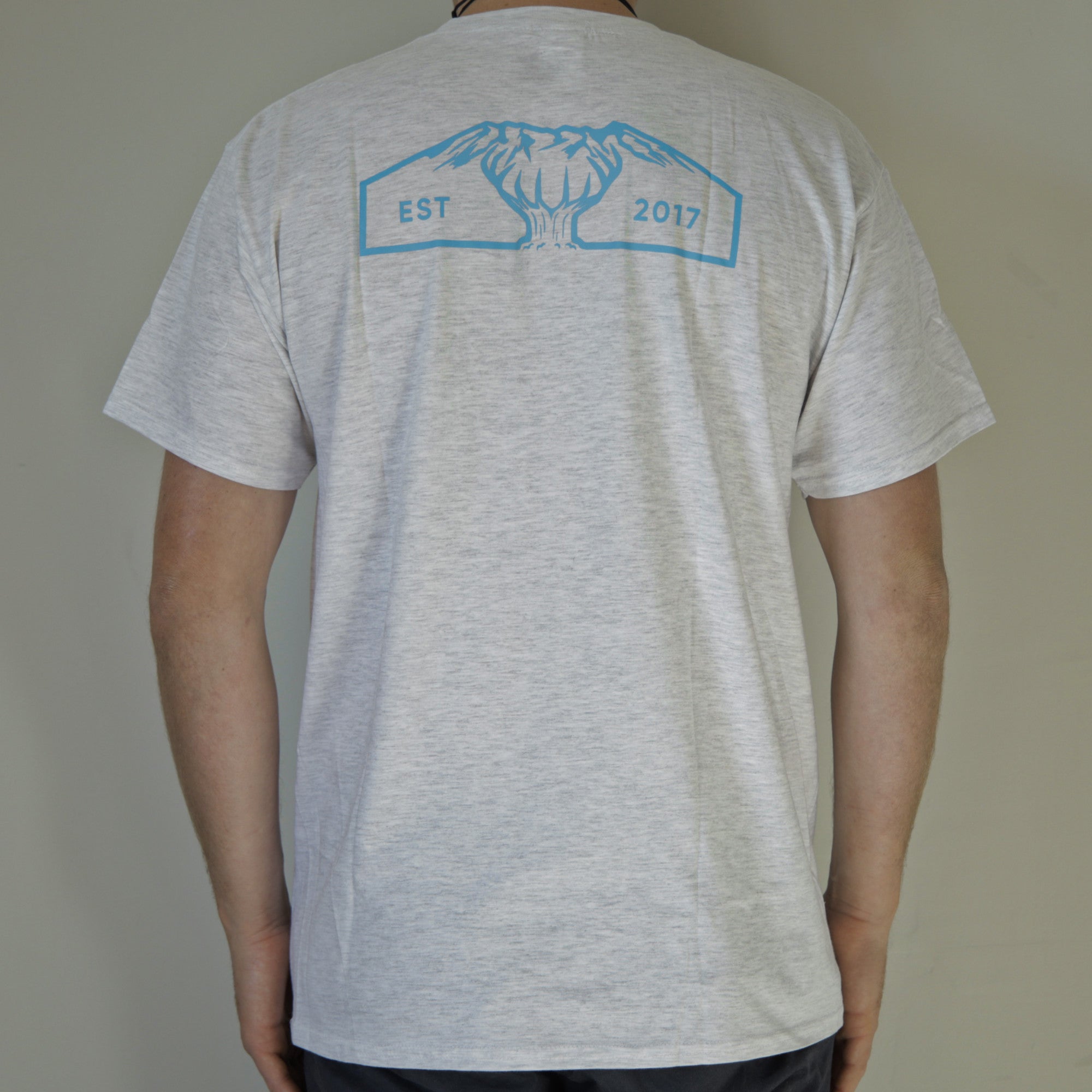 Steezy Kiwi light grey Tee