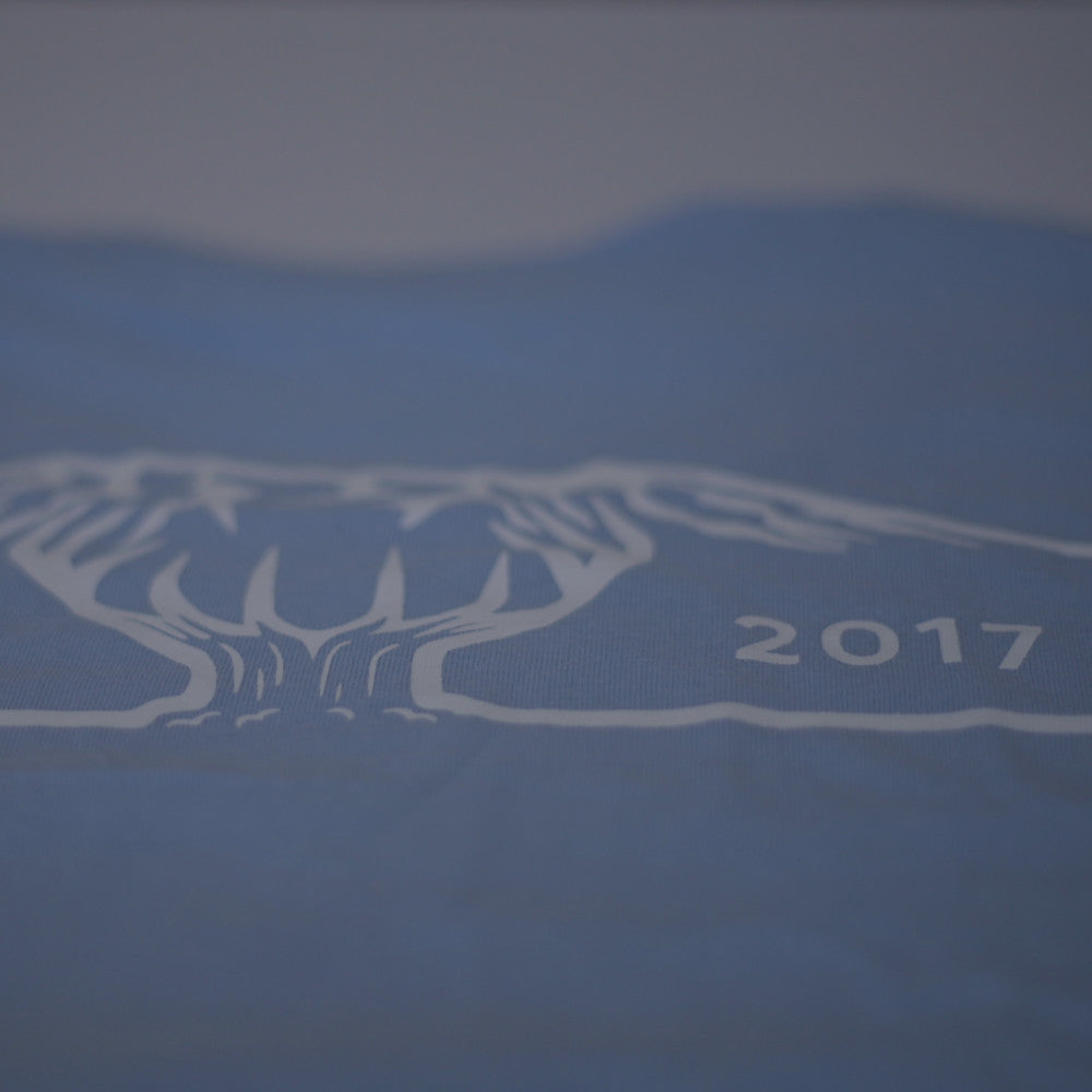 Steezy Kiwi Light Blue Tee